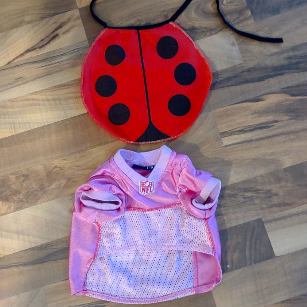 NFL jersey and ladybug costume